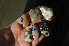 Ocean Jasper freeform cabochons (Lot D)