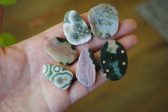 Ocean Jasper freeform cabochons (Lot D)