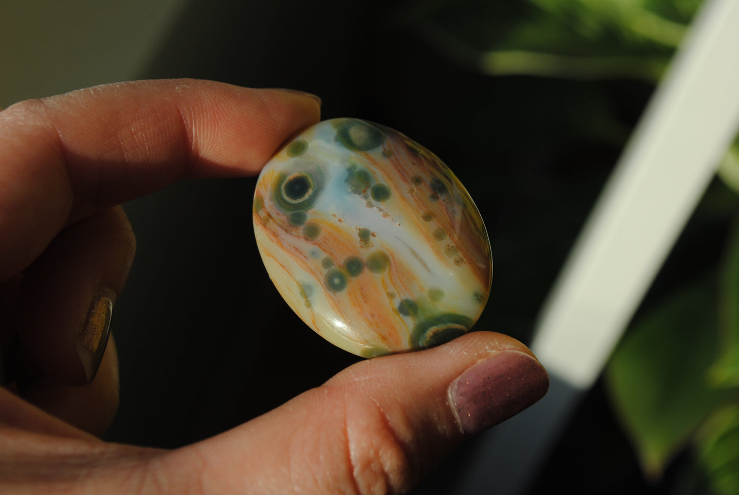 Ocean Jasper cabochon