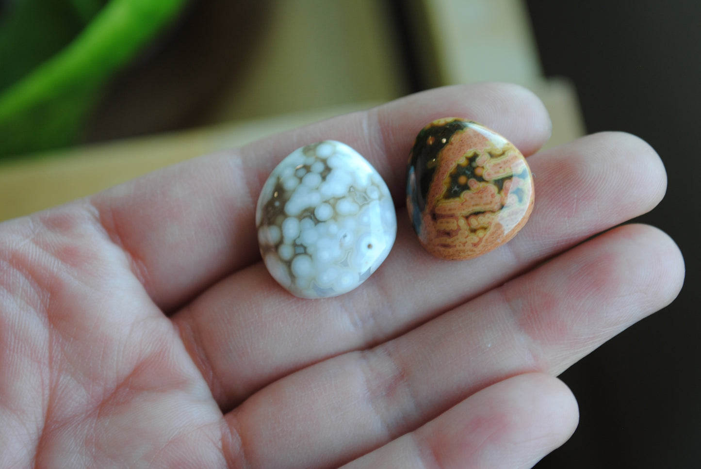 Ocean Jasper freeform cabochons