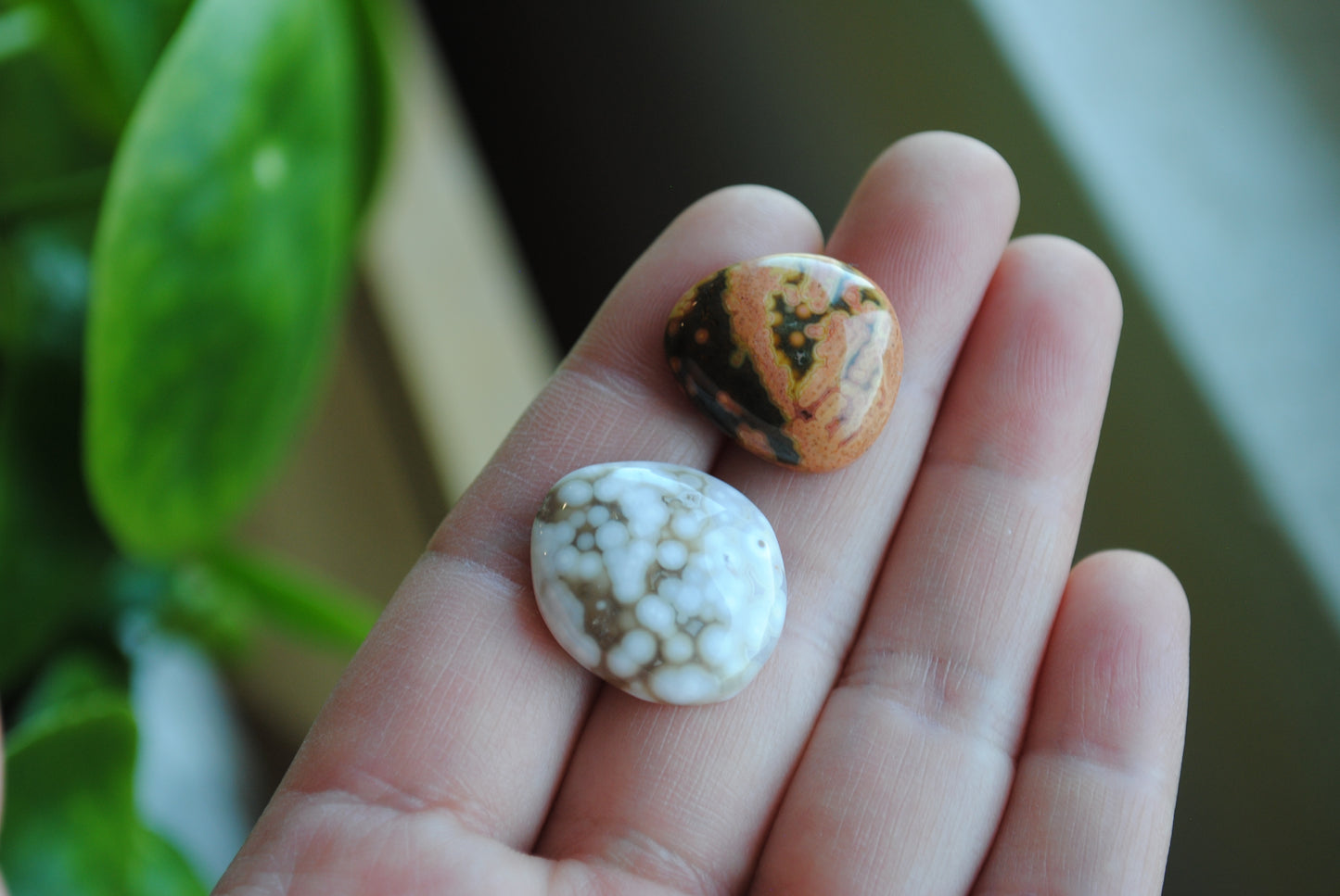 Ocean Jasper freeform cabochons