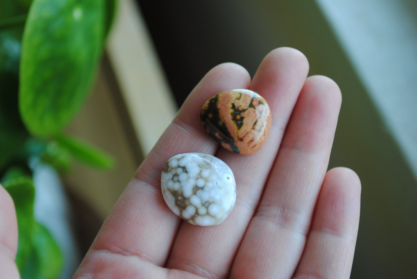 Ocean Jasper freeform cabochons