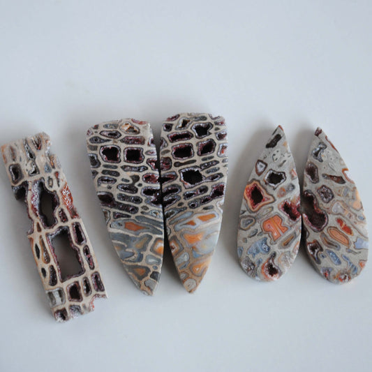 Petrified wood druzy pocket cabochons