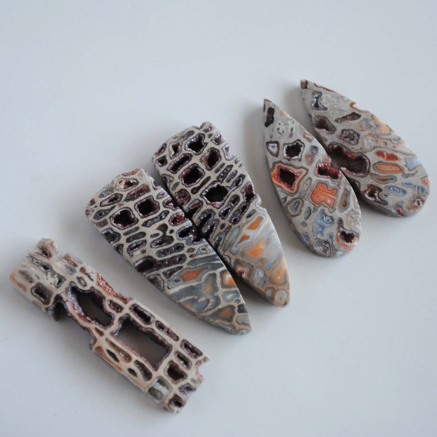 Petrified wood druzy pocket cabochons