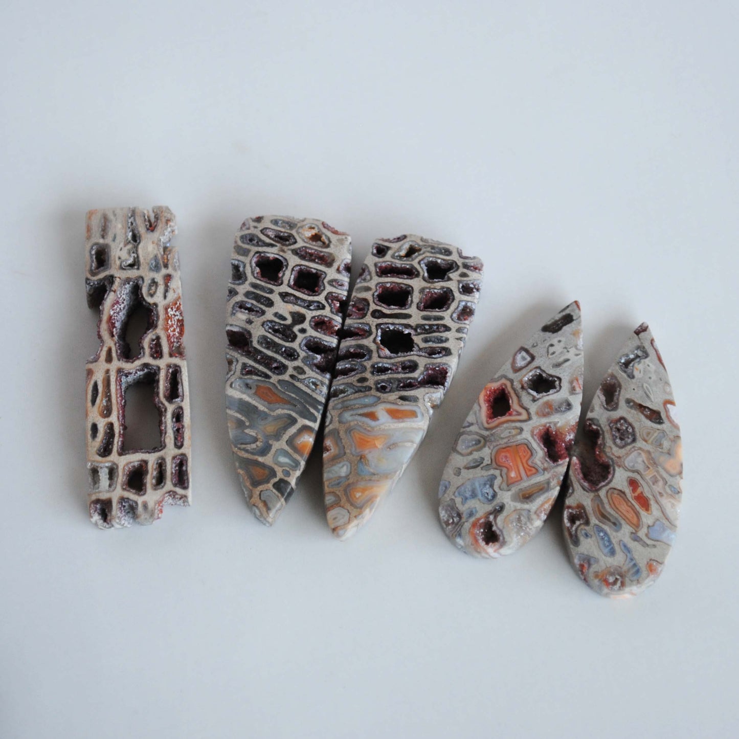 Petrified wood druzy pocket cabochons