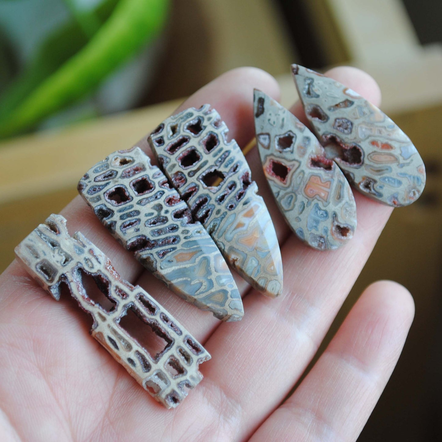 Petrified wood druzy pocket cabochons