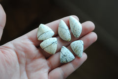 Dalmatian opal cabochons