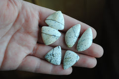 Dalmatian opal cabochons