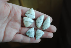 Dalmatian opal cabochons