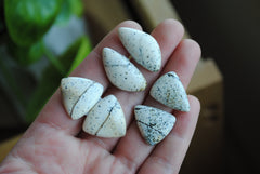 Dalmatian opal cabochons