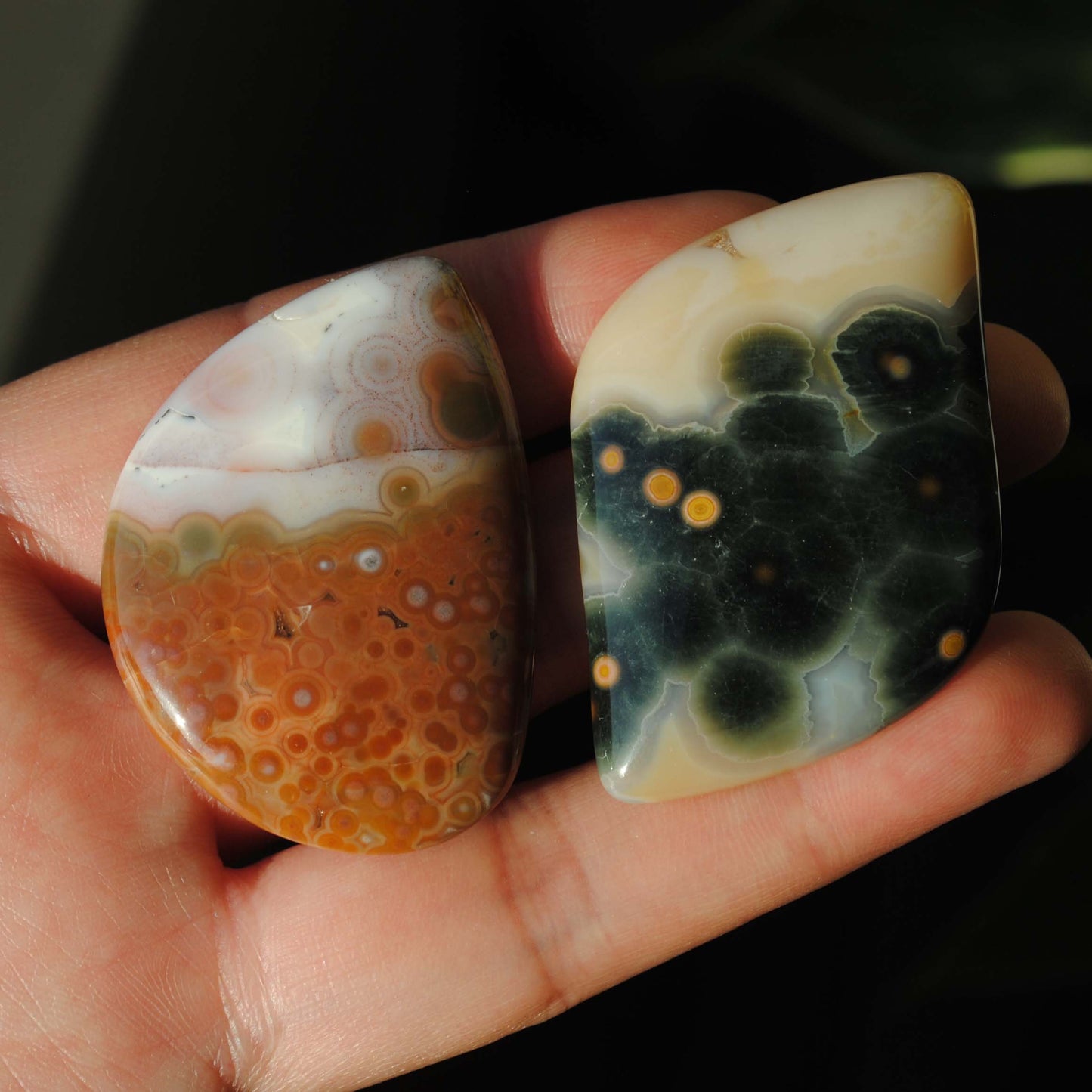 Ocean Jasper freeform cabochons