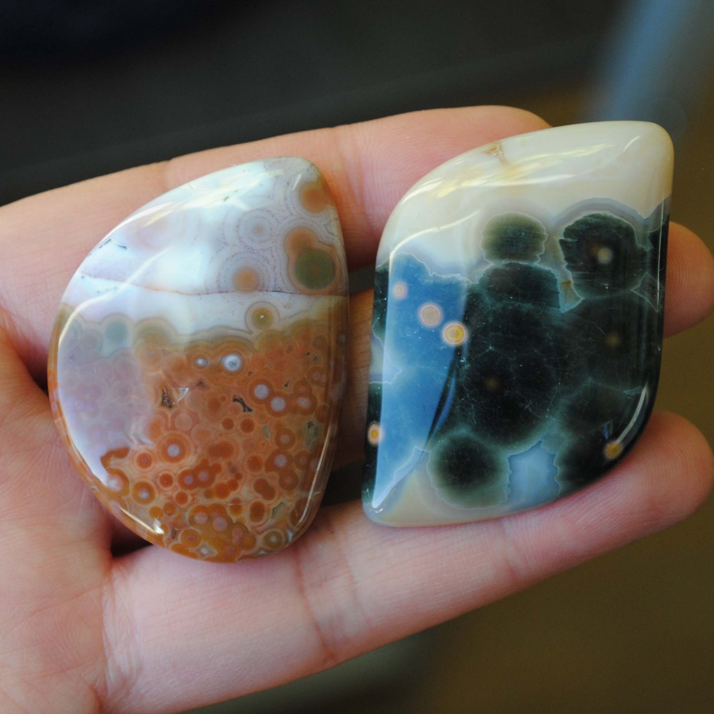 Ocean Jasper freeform cabochons