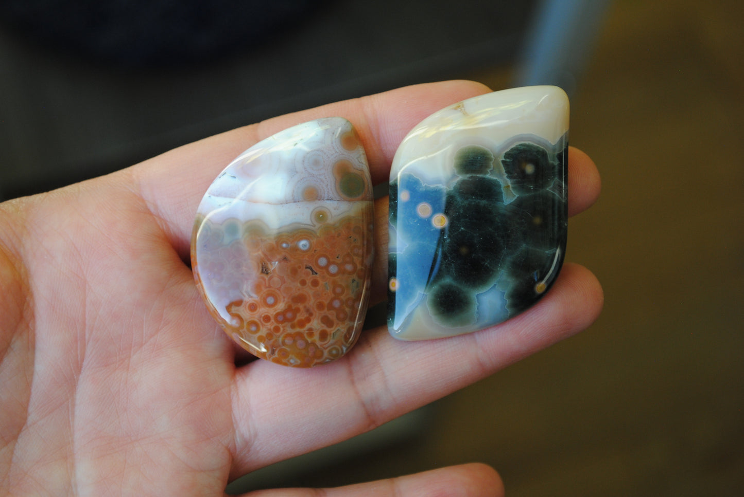 Ocean Jasper freeform cabochons