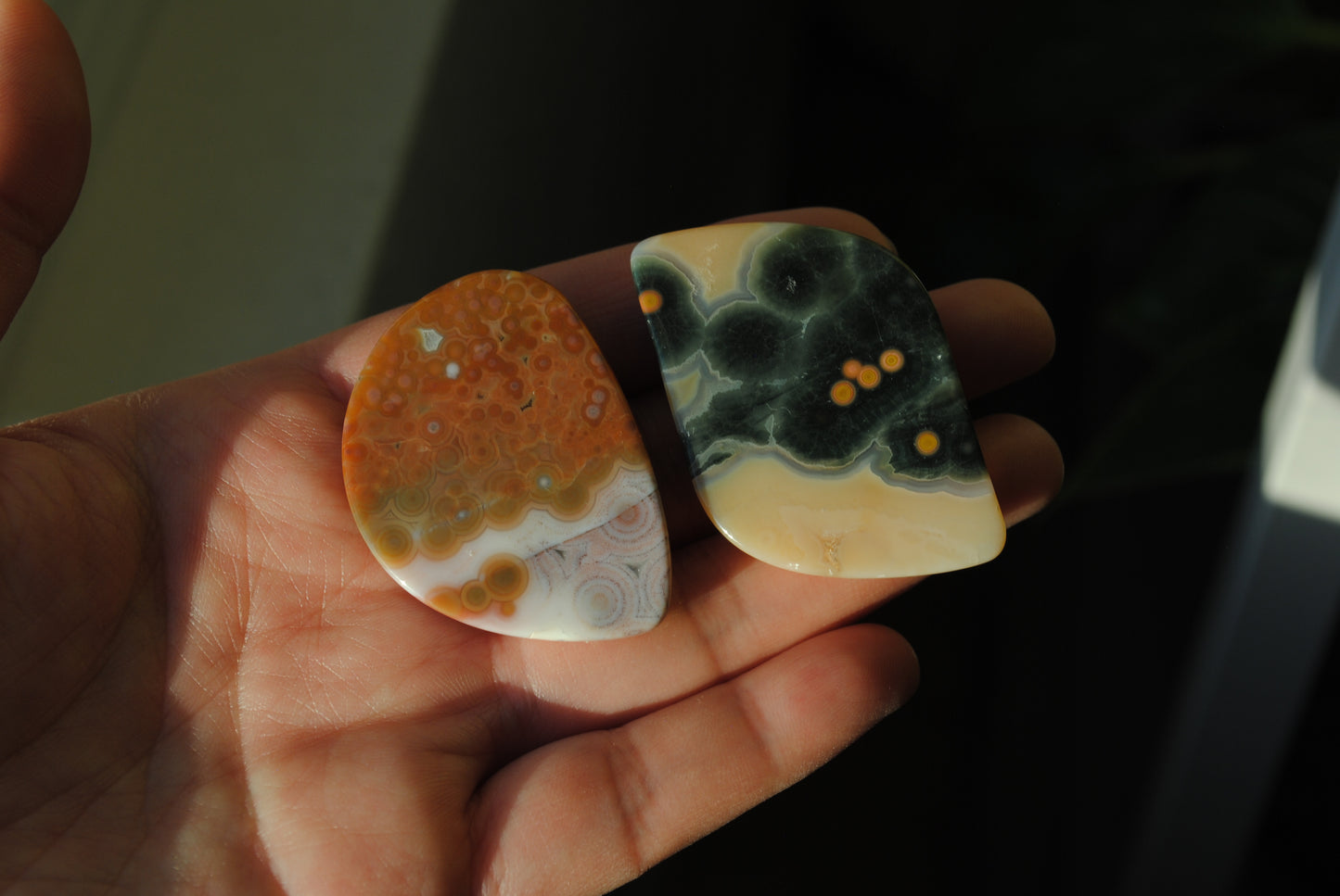Ocean Jasper freeform cabochons