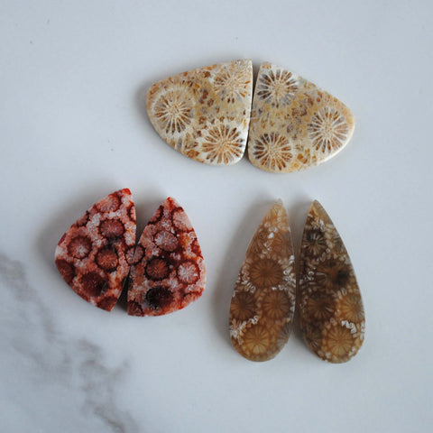 Fossilized coral cabochon pairs