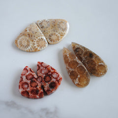 Fossilized coral cabochon pairs