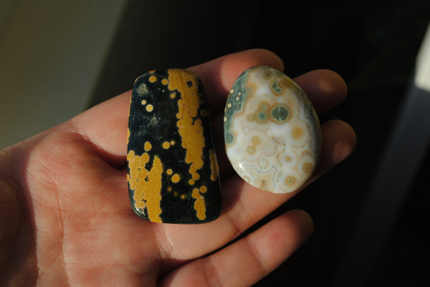 Ocean Jasper freeform cabochons