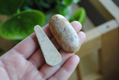 Fossilized coral beads
