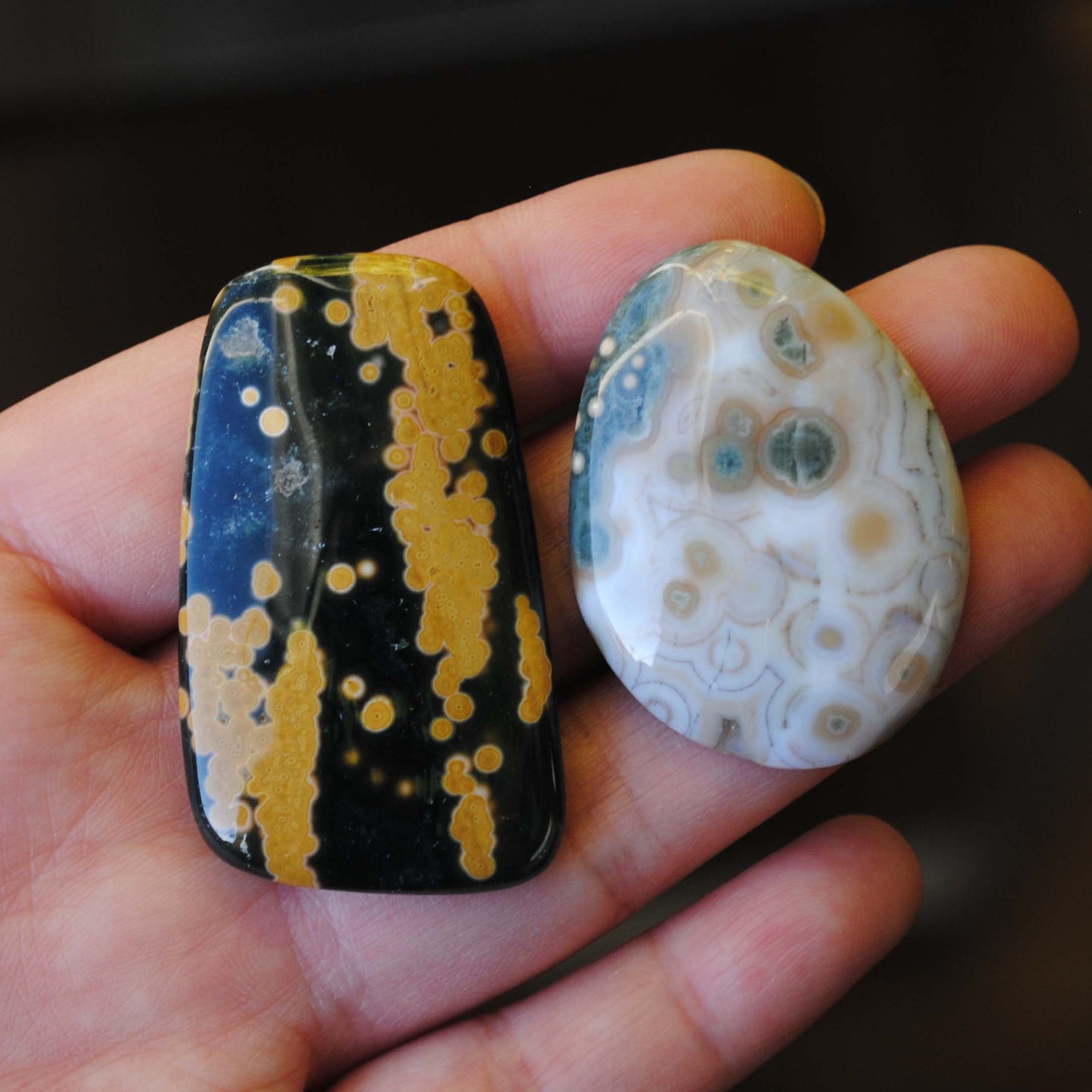 Ocean Jasper freeform cabochons