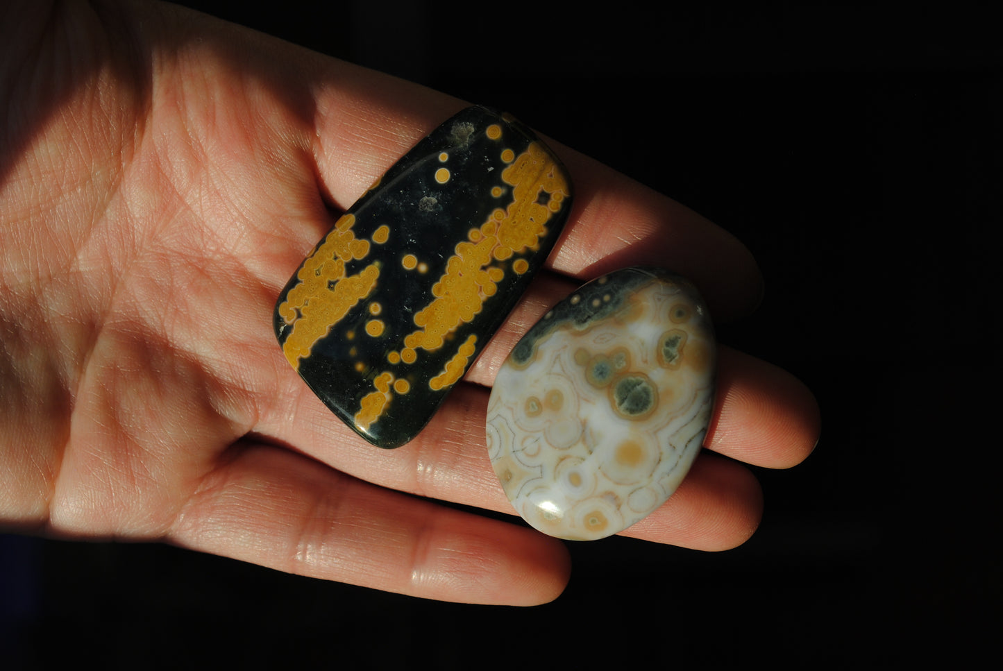 Ocean Jasper freeform cabochons