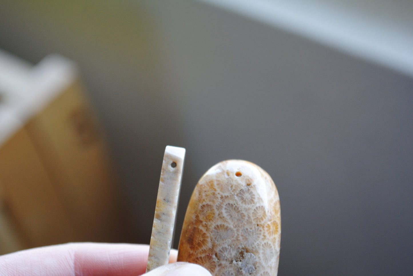 Fossilized coral beads