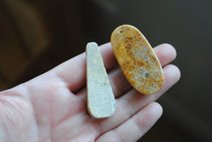 Fossilized coral beads