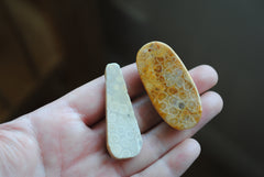 Fossilized coral beads
