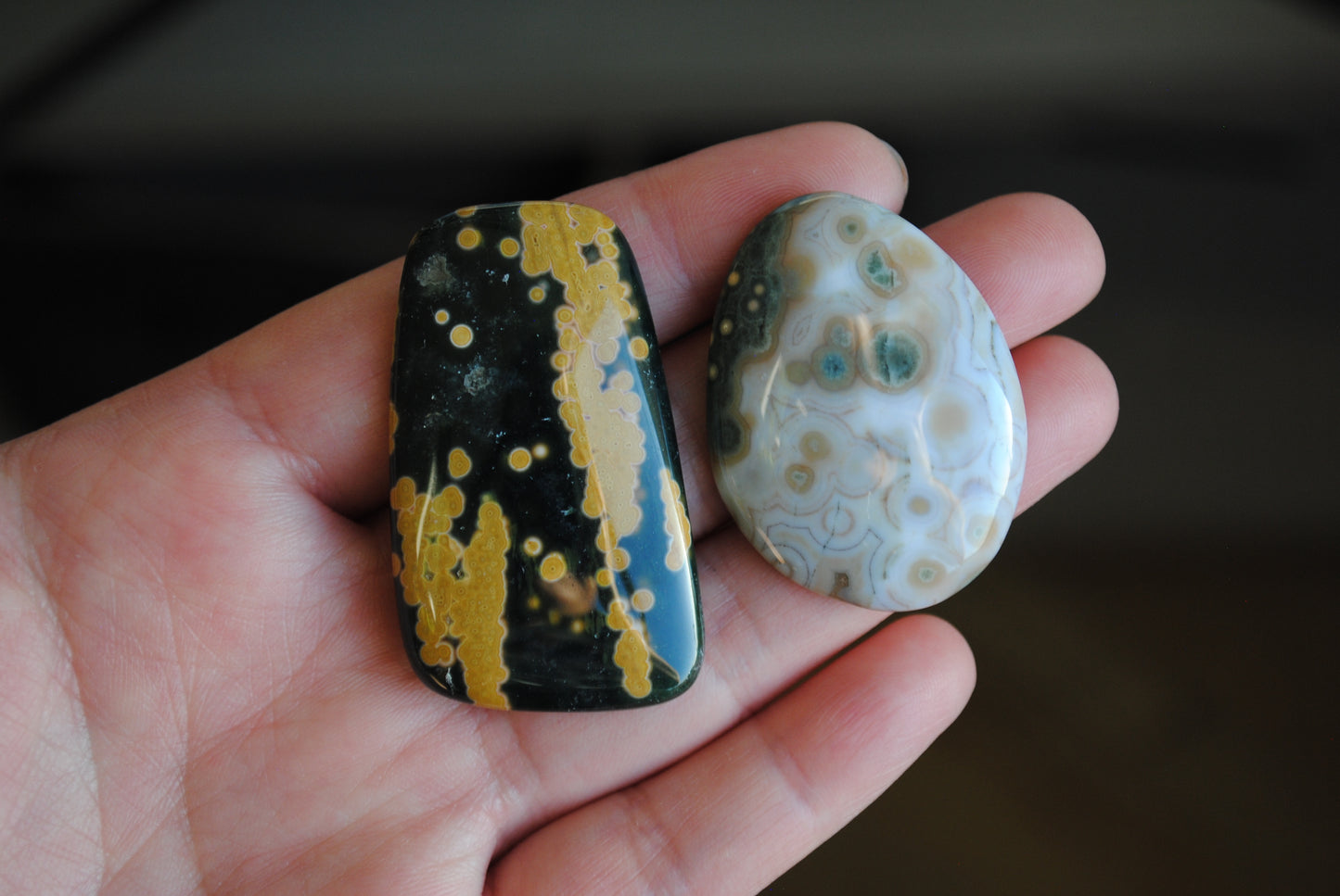 Ocean Jasper freeform cabochons