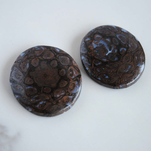 Osmunda fossilized tree fern cabochons