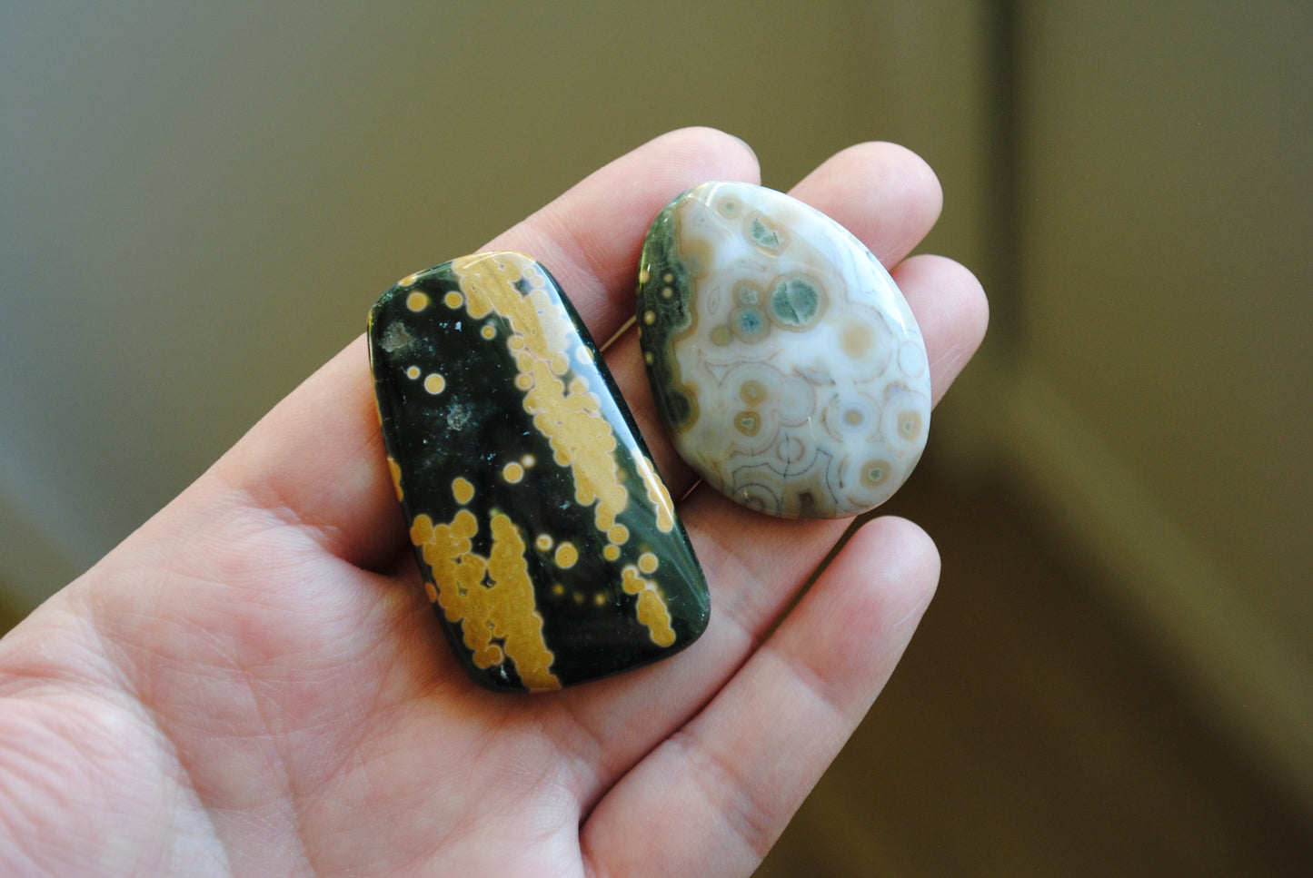 Ocean Jasper freeform cabochons