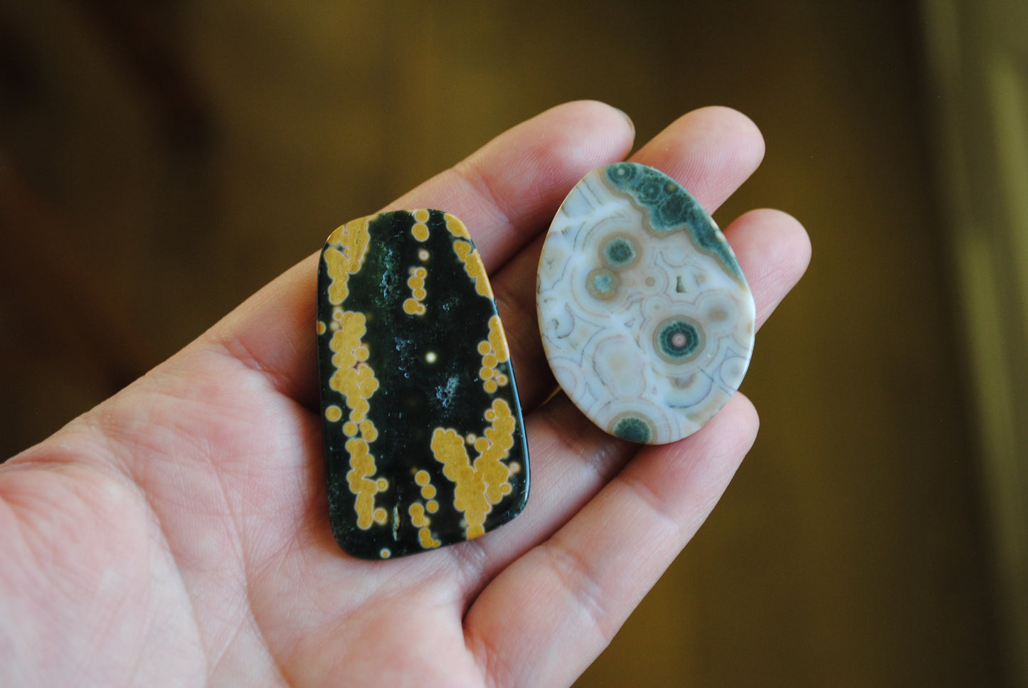 Ocean Jasper freeform cabochons