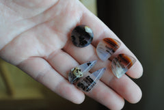 Montana agate cabochons