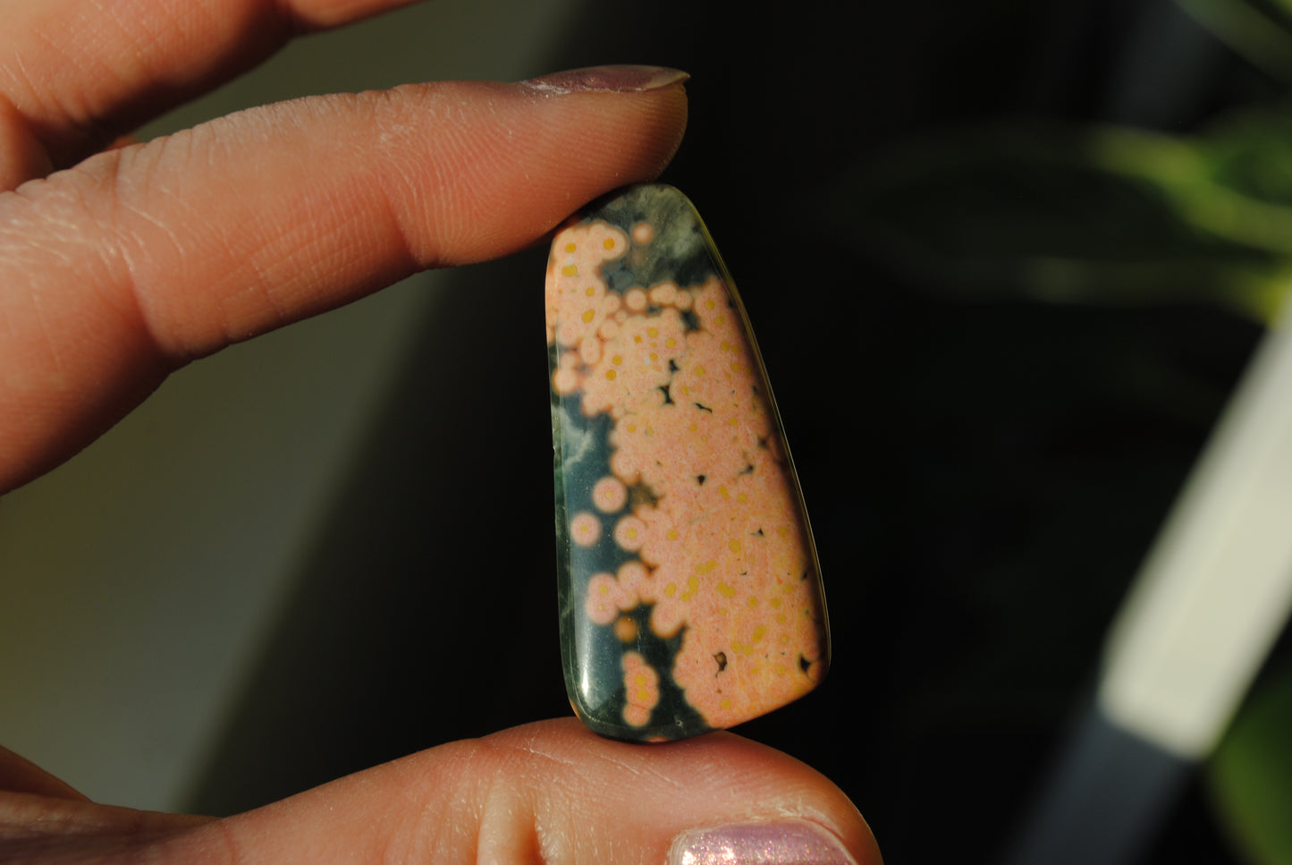 Ocean Jasper freeform cabochon