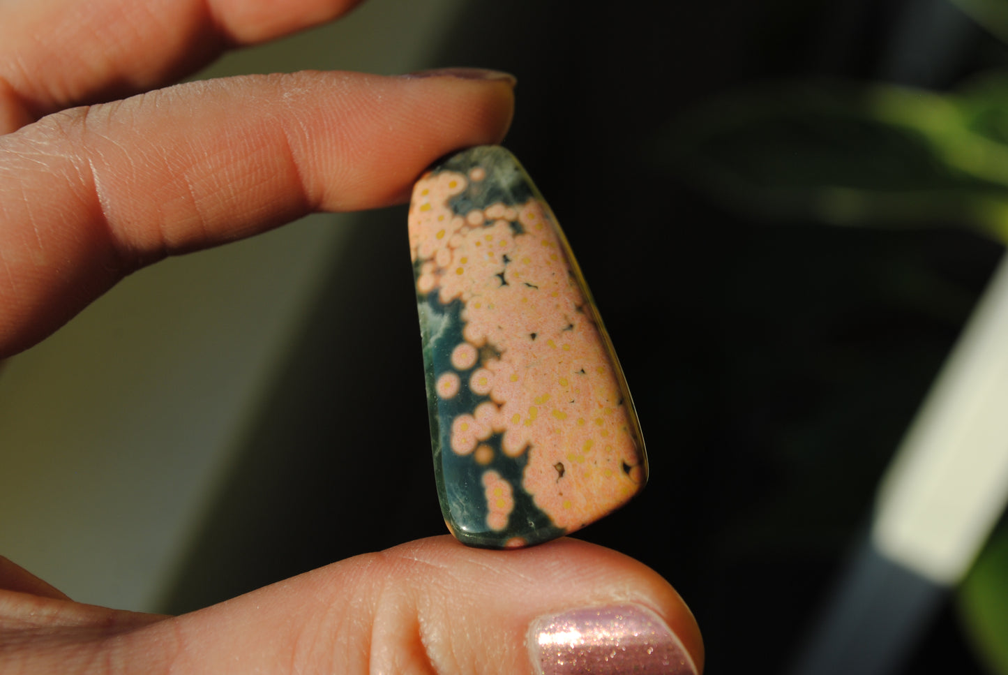 Ocean Jasper freeform cabochon