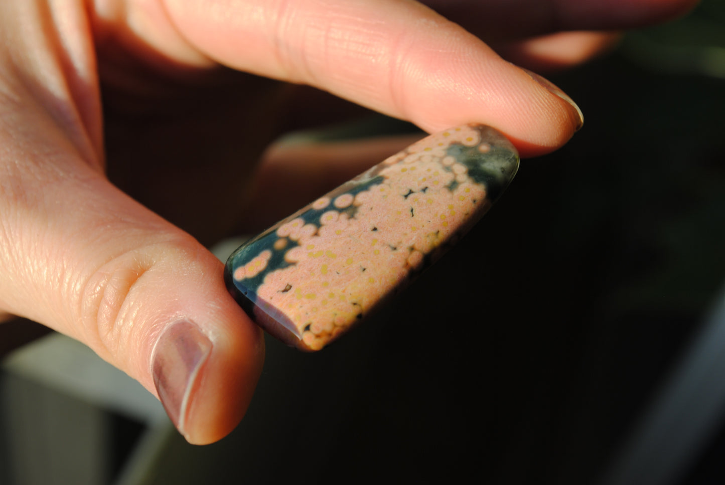 Ocean Jasper freeform cabochon