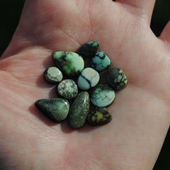 Damele variscite cabochons (Lot A)