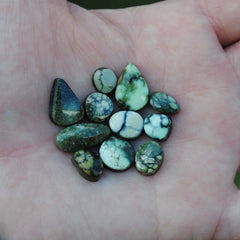 Damele variscite cabochons (Lot A)