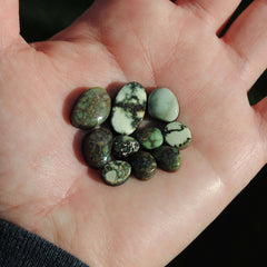 Damele variscite cabochons (Lot B)