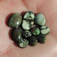 Damele variscite cabochons (Lot B)