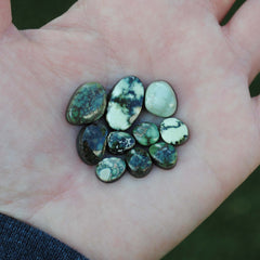 Damele variscite cabochons (Lot B)