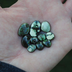 Damele variscite cabochons (Lot B)