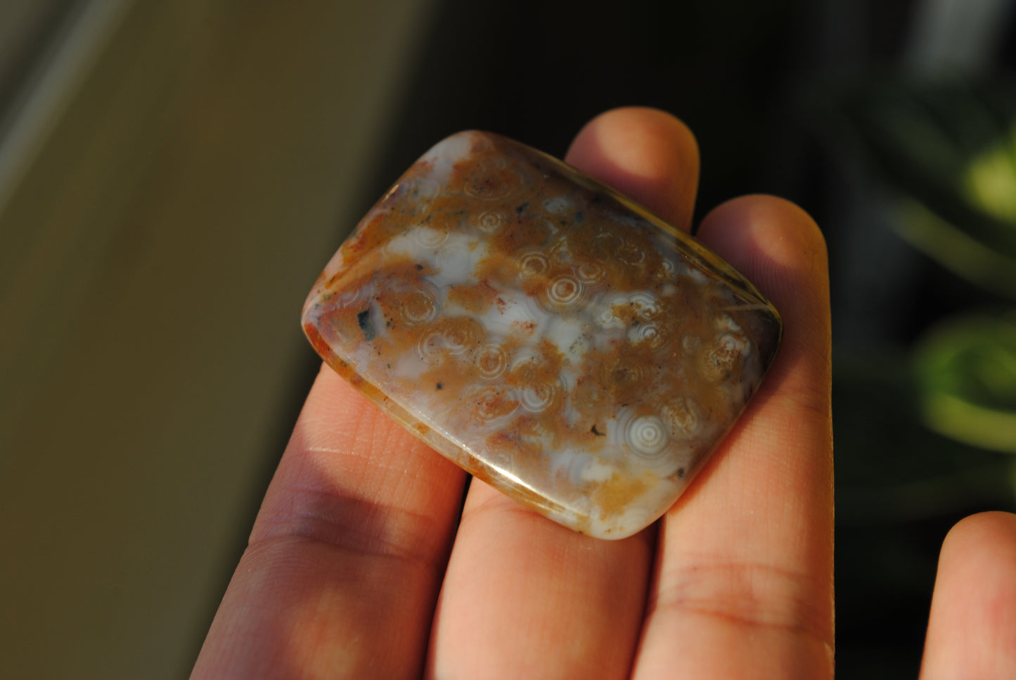 Rectangle 40x30mm Ocean Jasper cabochon