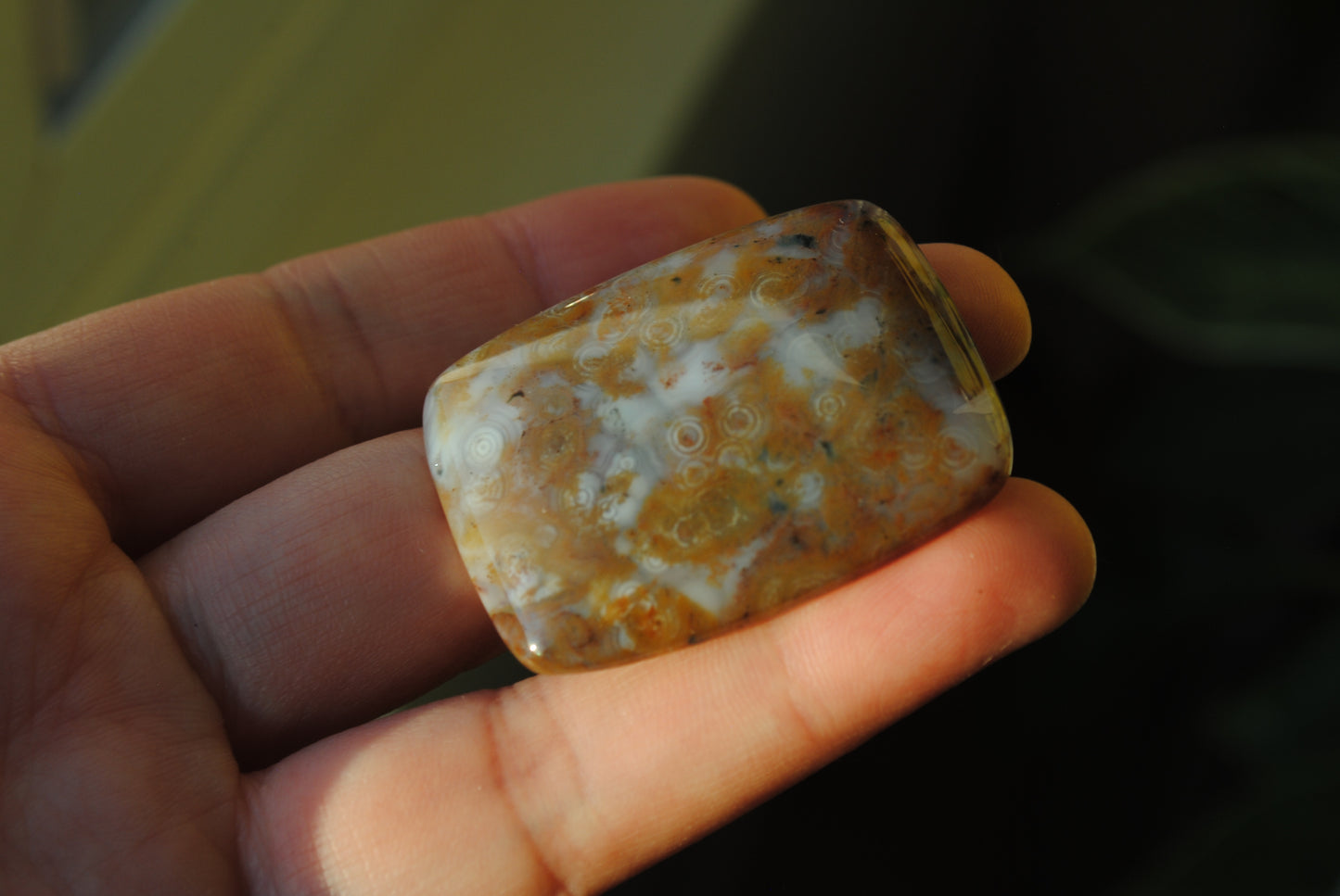 Rectangle 40x30mm Ocean Jasper cabochon