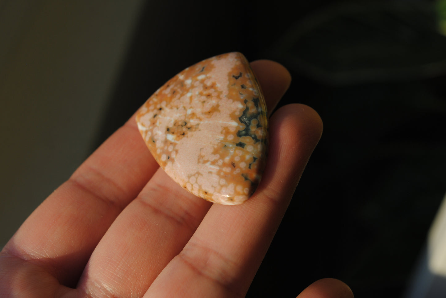 Ocean Jasper 30x40mm shield cabochon