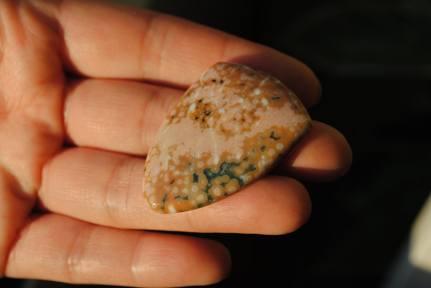 Ocean Jasper 30x40mm shield cabochon