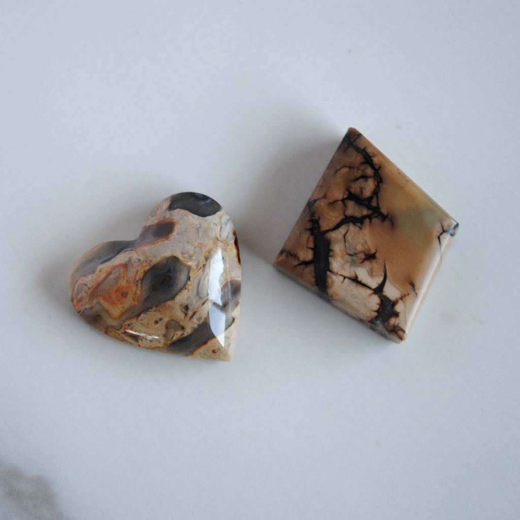 Opalized wood cabochons