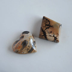 Opalized wood cabochons