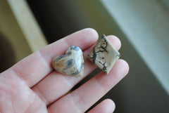 Opalized wood cabochons