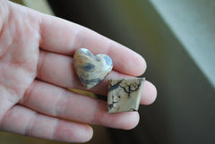 Opalized wood cabochons