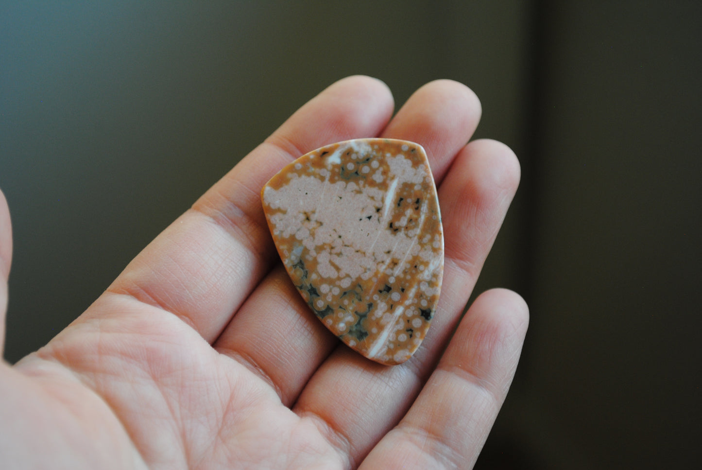 Ocean Jasper 30x40mm shield cabochon